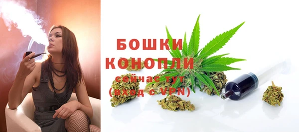 амф Богородск