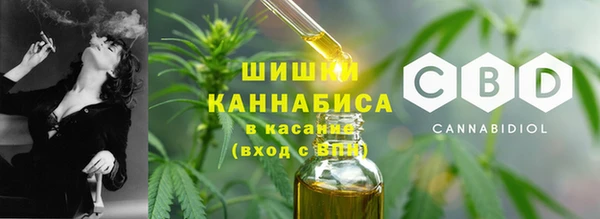 амф Богородск