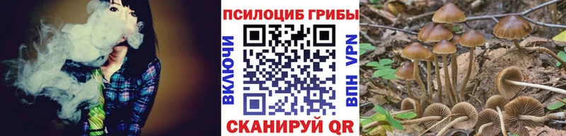 Галлюциногенные грибы GOLDEN TEACHER  Ковдор 
